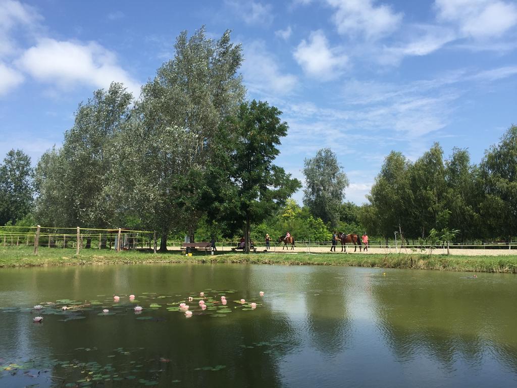 Отель Mohacsi Wellness Vendeghaz Es Lovasklub Экстерьер фото