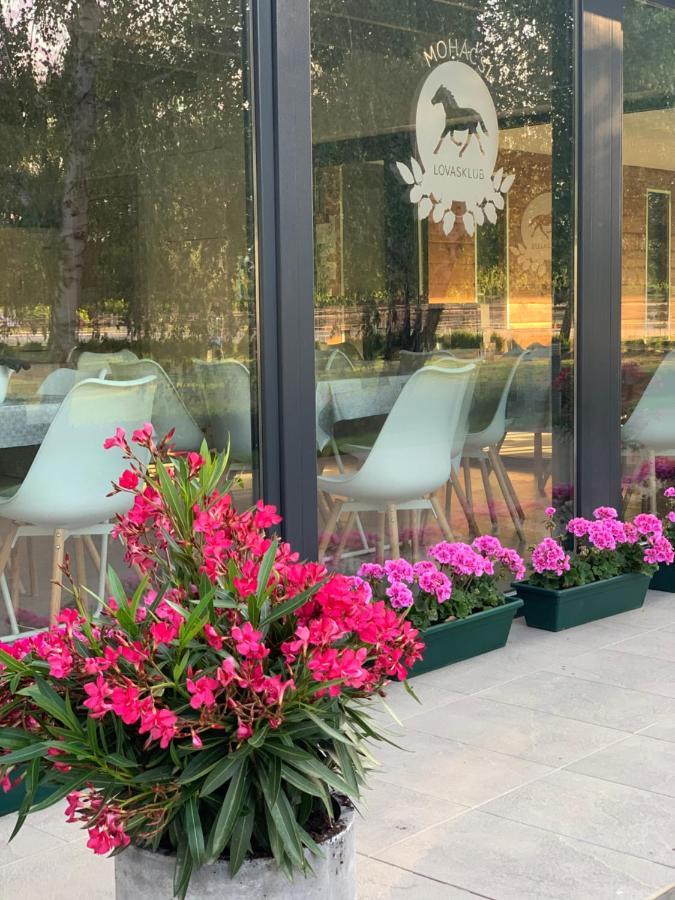 Отель Mohacsi Wellness Vendeghaz Es Lovasklub Экстерьер фото